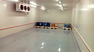 Demo Image
